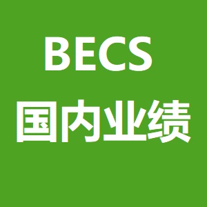 BECS 國內案例